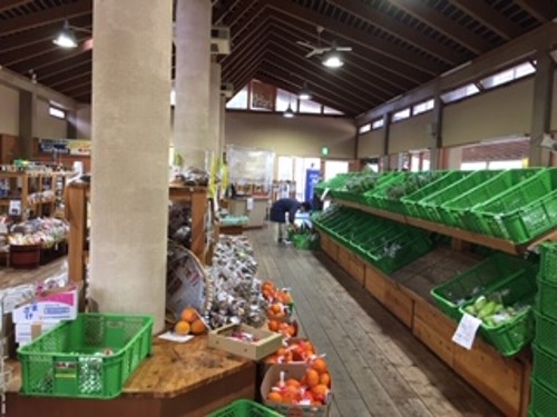 水の駅おづるに行ってきた 湧水の水汲みとお買い物してきました 情報発信ブログサイト Blue Rose