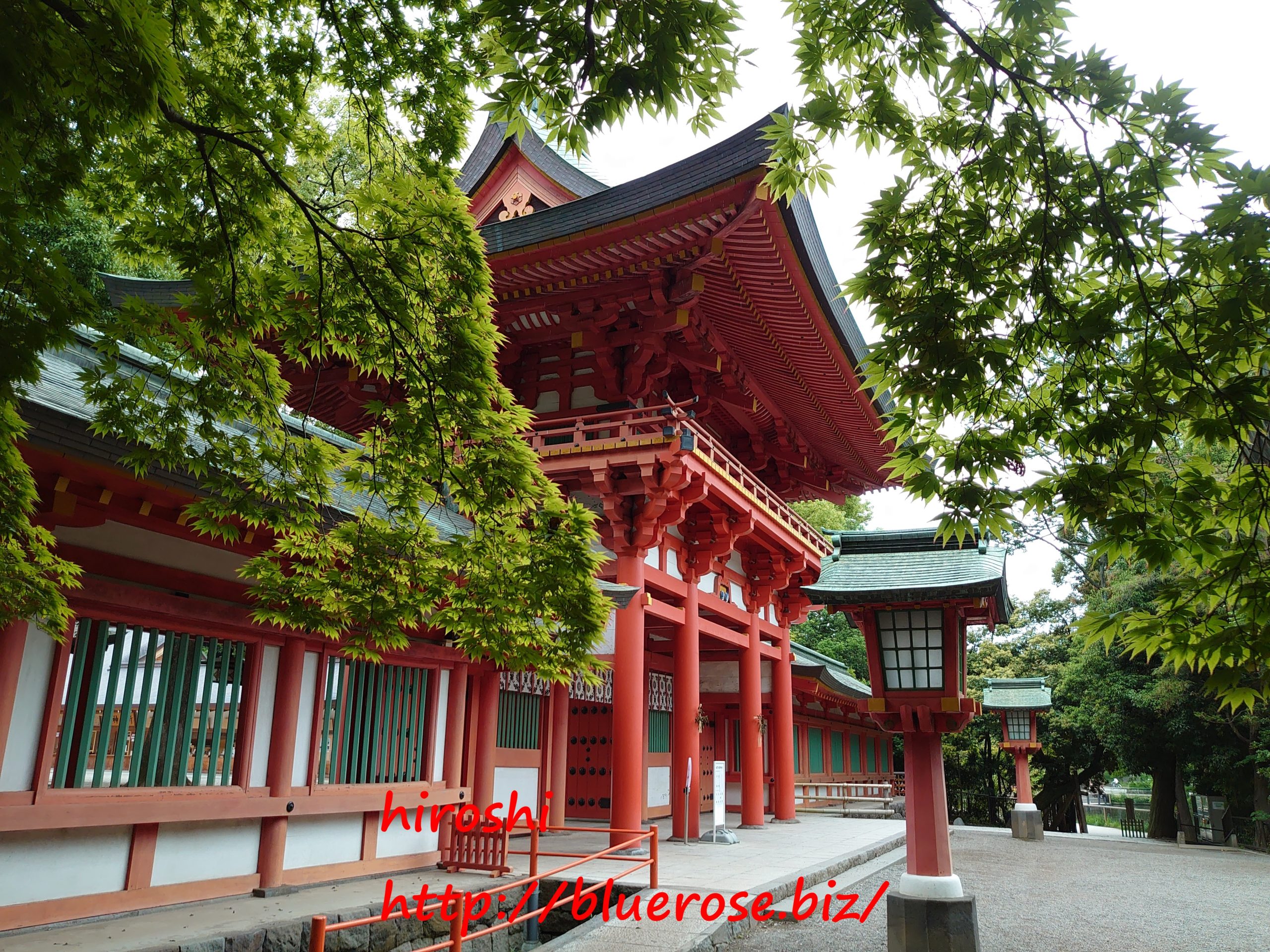 大宮氷川神社の御朱印21 限定夏バージョンや蛇の池など紹介 情報発信ブログサイト Blue Rose