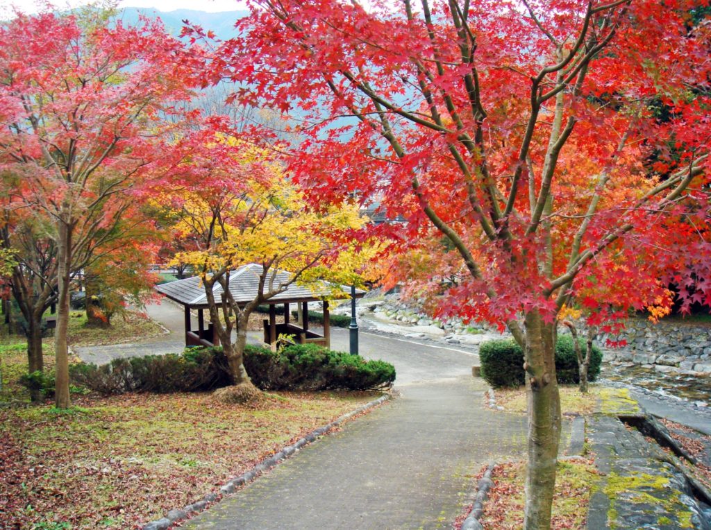 下呂温泉での紅葉もみじ ライトアップなど見どころ紹介 情報発信ブログサイト Blue Rose