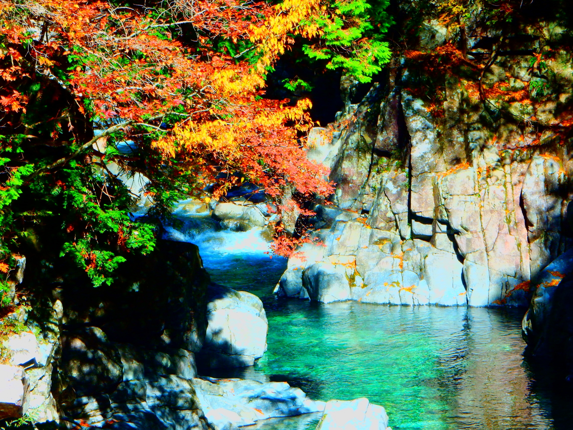 阿寺渓谷の紅葉 エメラルドグリーンの清流と紅葉が最高 情報発信ブログサイト Blue Rose