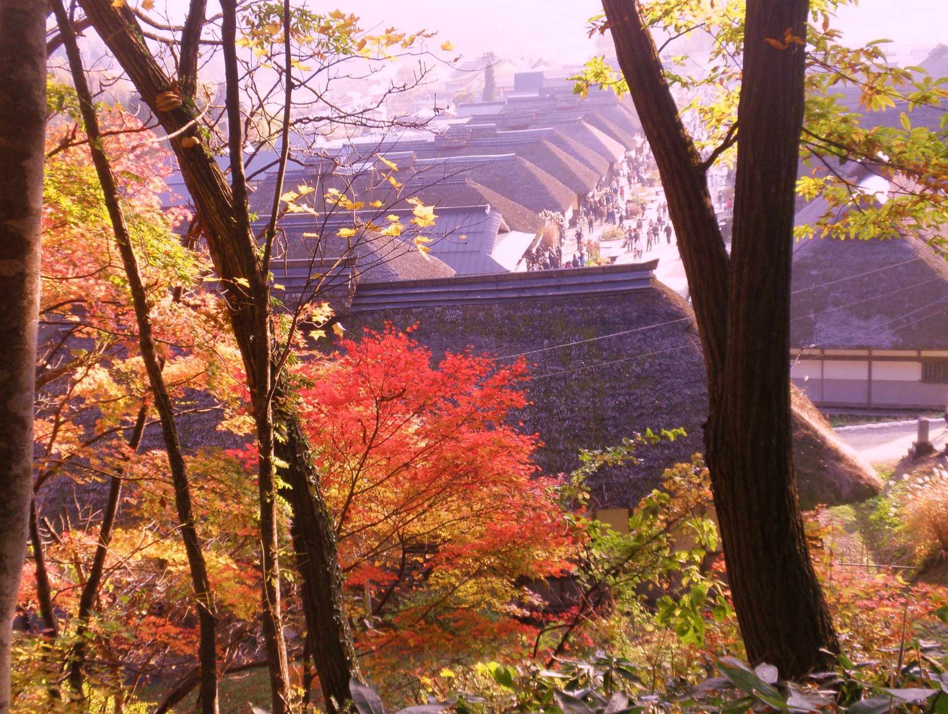 大内宿で紅葉もみじ狩り 見頃時期など紹介 秋の景色も格別 情報発信ブログサイト Blue Rose