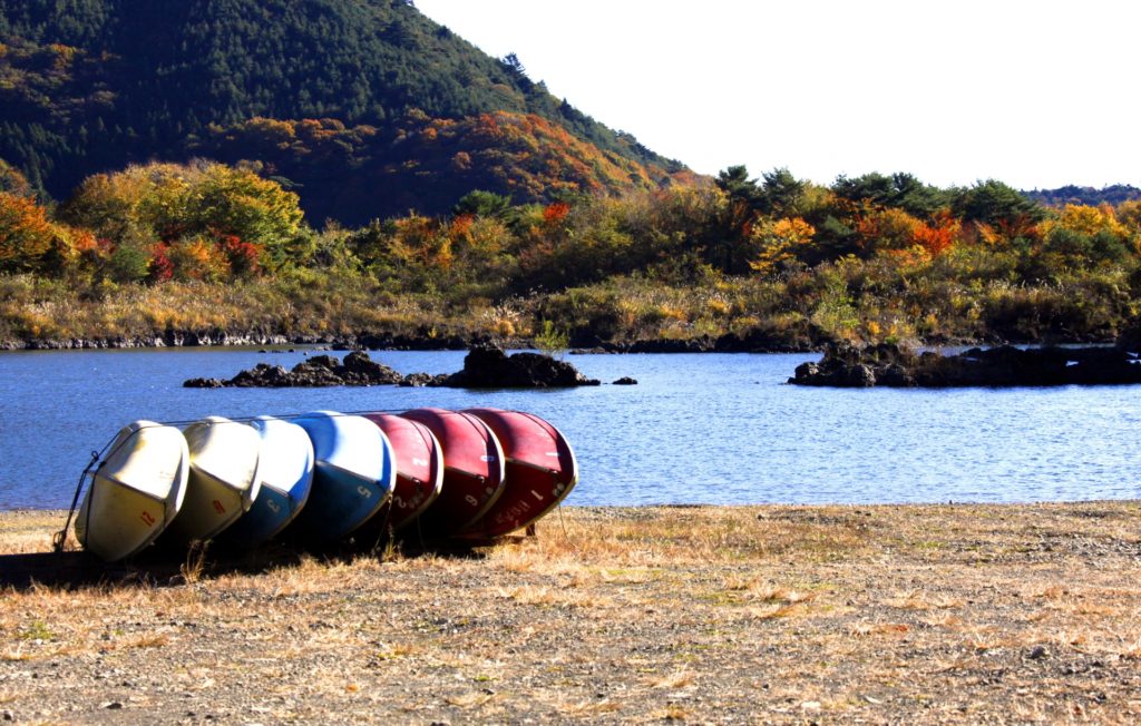 本栖湖で紅葉もみじ狩り 見頃時期など紹介 富士山とのコラボ 情報発信ブログサイト Blue Rose