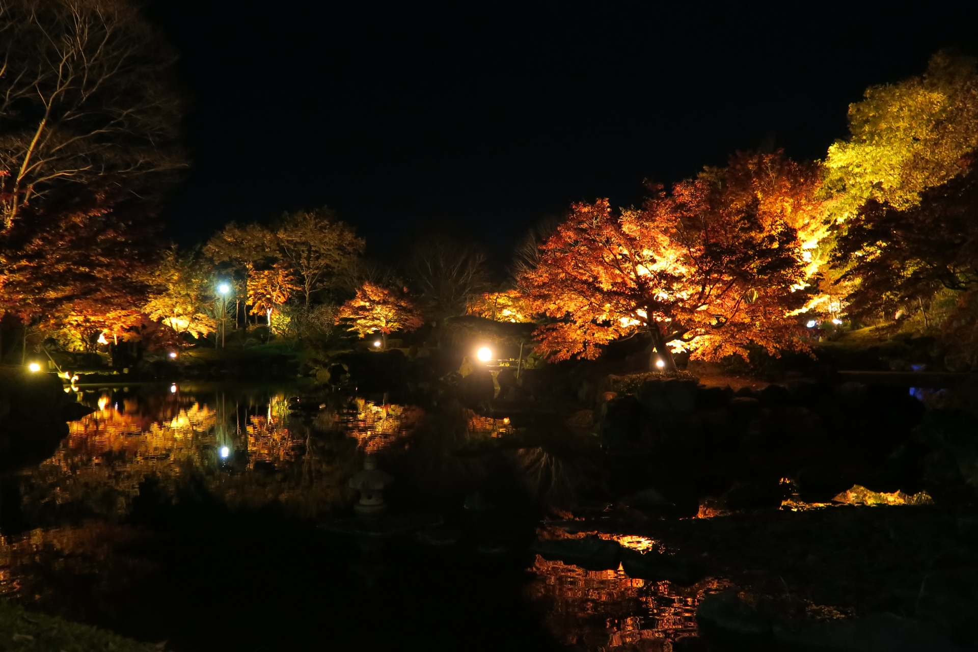 桜山公園の紅葉21 見頃時期やライトアップ クチコミなど紹介 情報発信ブログサイト Blue Rose