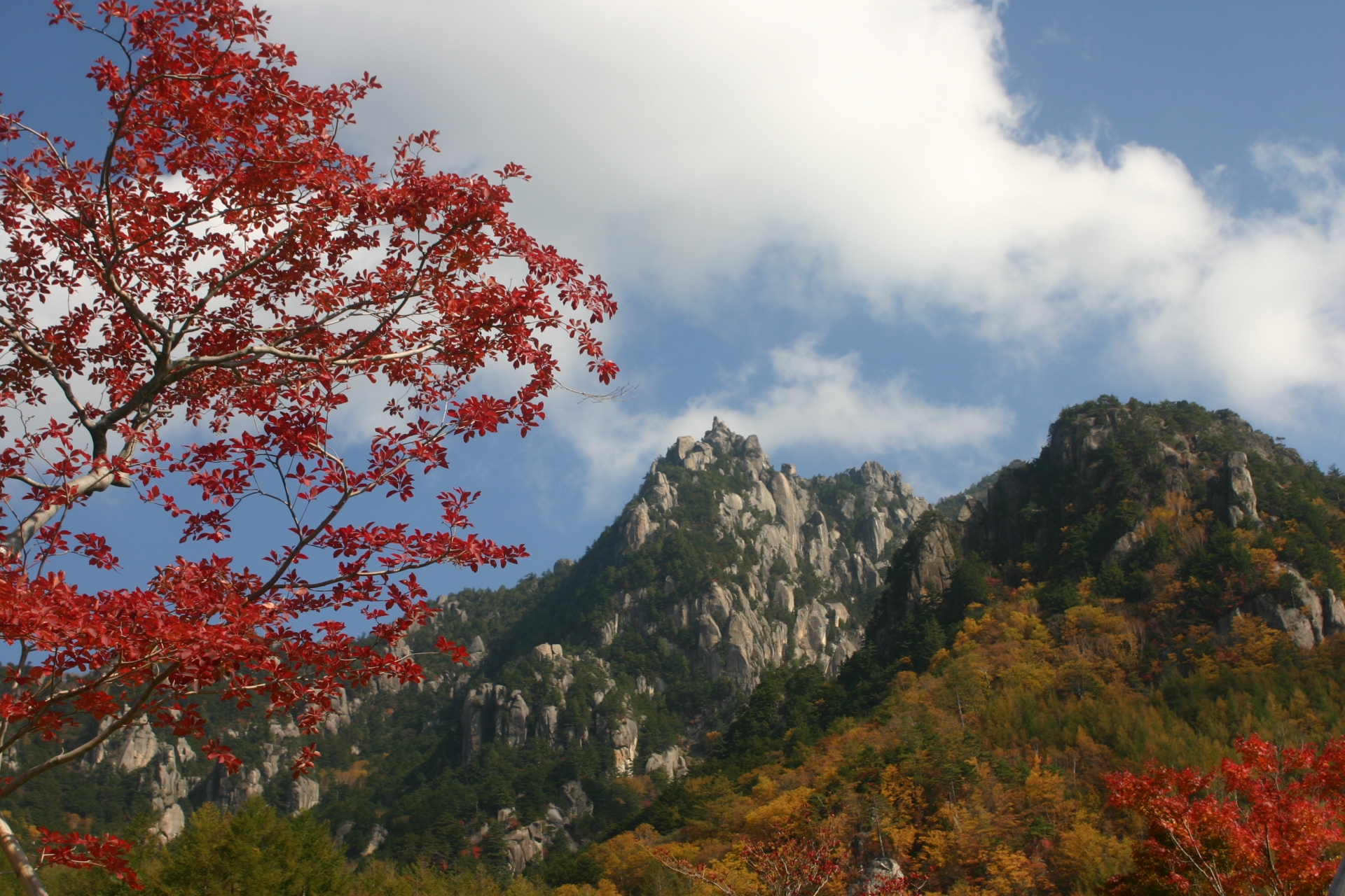 瑞牆山で紅葉もみじ狩り 見頃時期や登山など紹介 情報発信ブログサイト Blue Rose