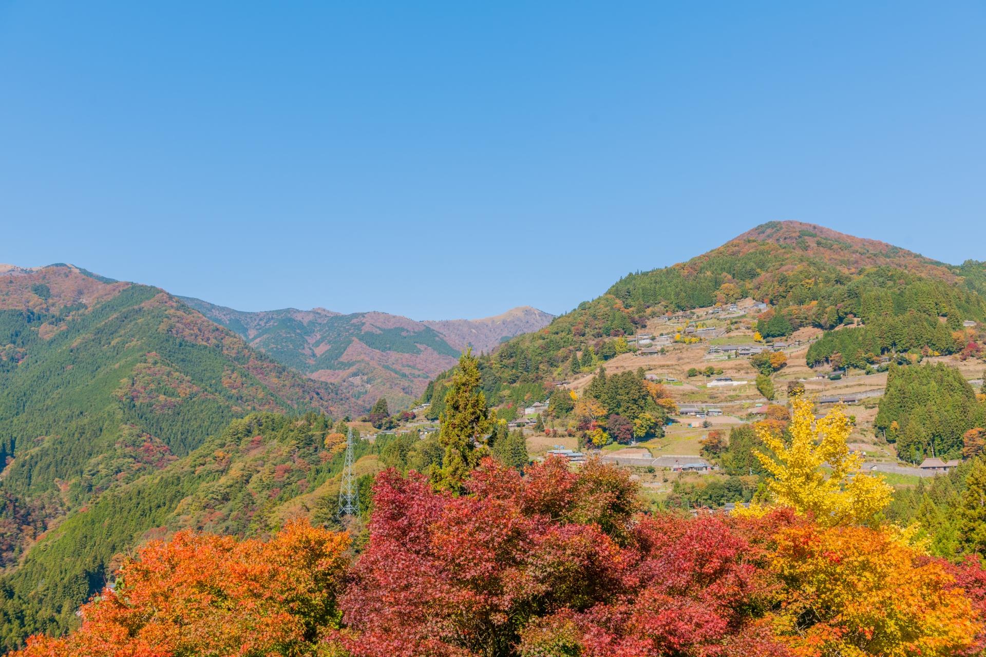 祖谷渓で紅葉もみじ狩り 見頃時期など紹介 徳島県の名所 情報発信ブログサイト Blue Rose