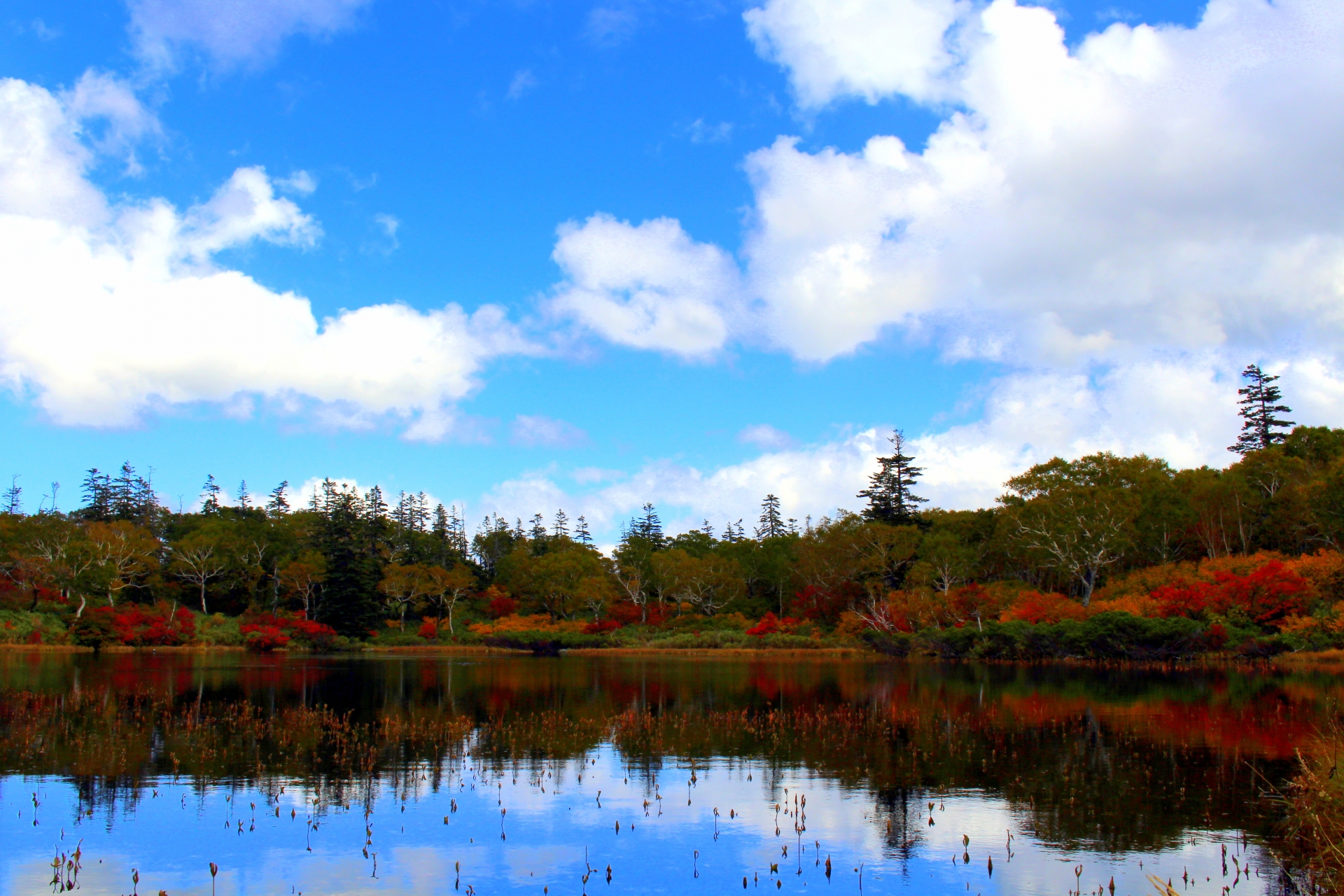 神仙沼で紅葉もみじ狩り 見頃時期など紹介 色づきに感動 情報発信ブログサイト Blue Rose