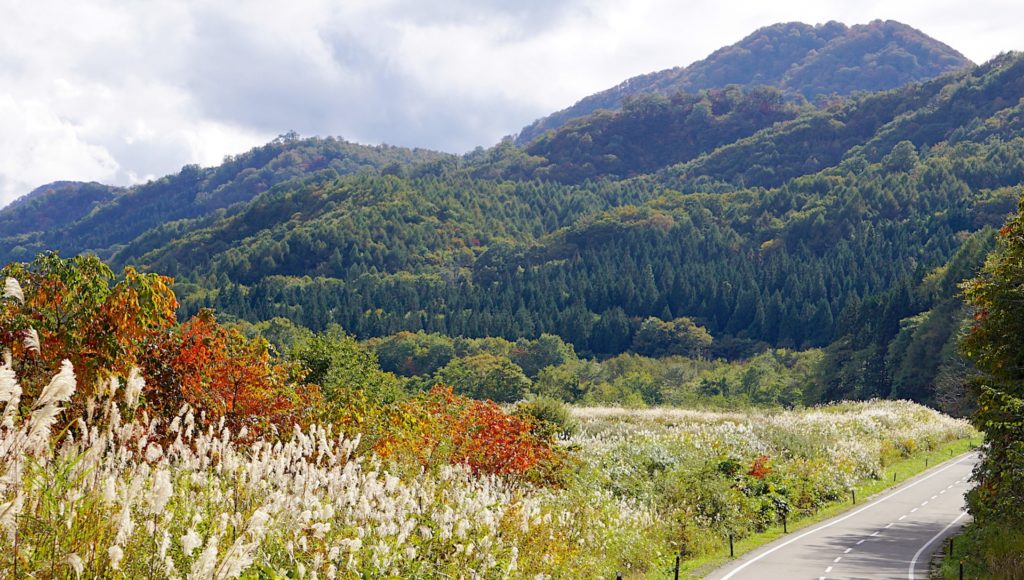 錦秋湖で紅葉もみじ狩り 見頃時期など紹介 美しい景色 情報発信ブログサイト Blue Rose