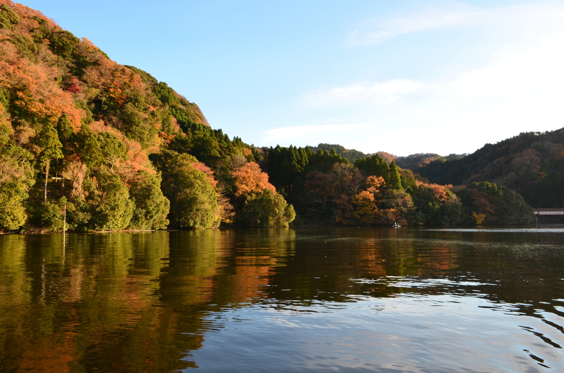 亀山湖で紅葉もみじ狩り21 見頃時期や紅葉クルーズなど紹介 情報発信ブログサイト Blue Rose