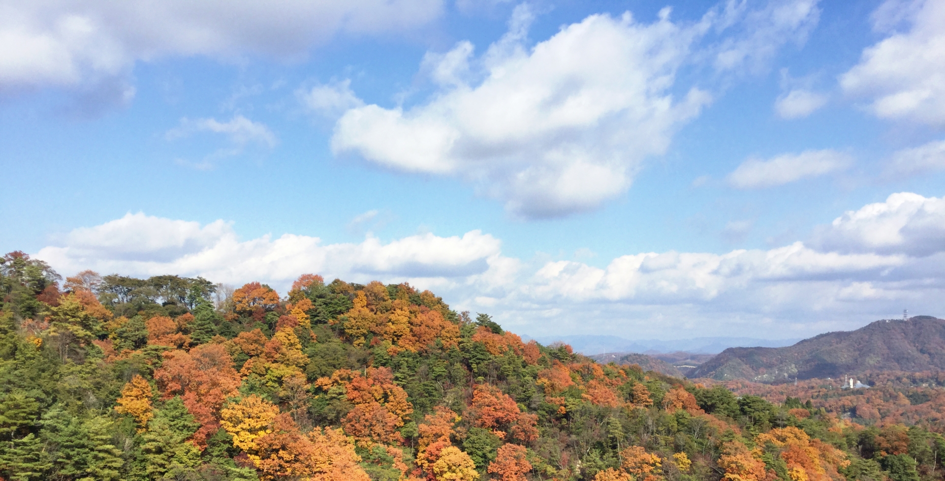 六甲山で紅葉もみじ狩り 見頃時期やライトアップなど紹介 情報発信ブログサイト Blue Rose