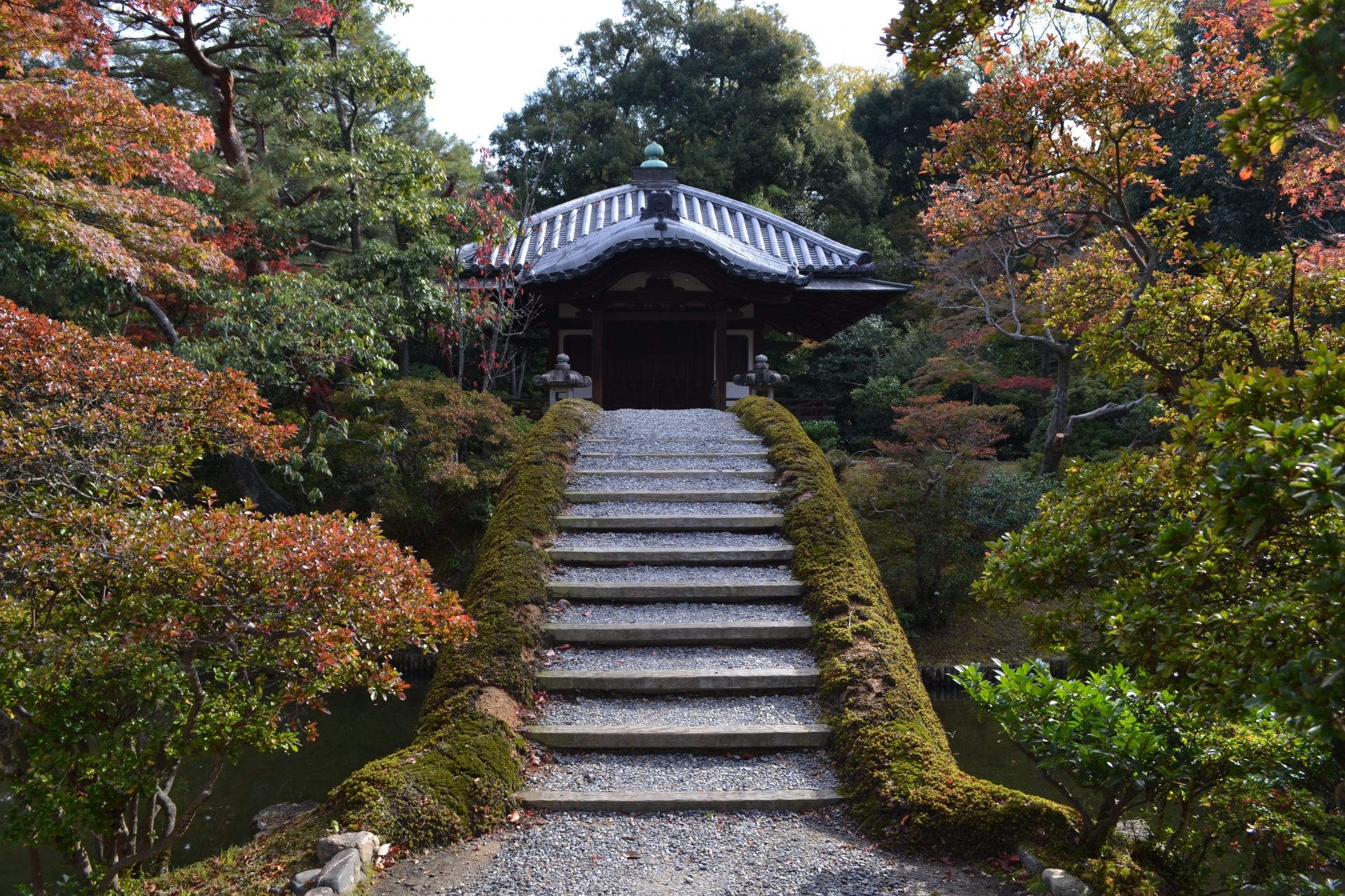 桂離宮での紅葉もみじ狩り 日本庭園と紅葉の美しさに注目 紅葉情報 情報発信ブログサイト Blue Rose