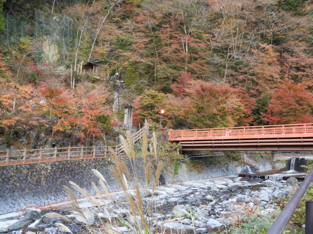 梅ヶ島温泉で紅葉もみじ 見頃時期やライトアップなど紹介 情報発信ブログサイト Blue Rose