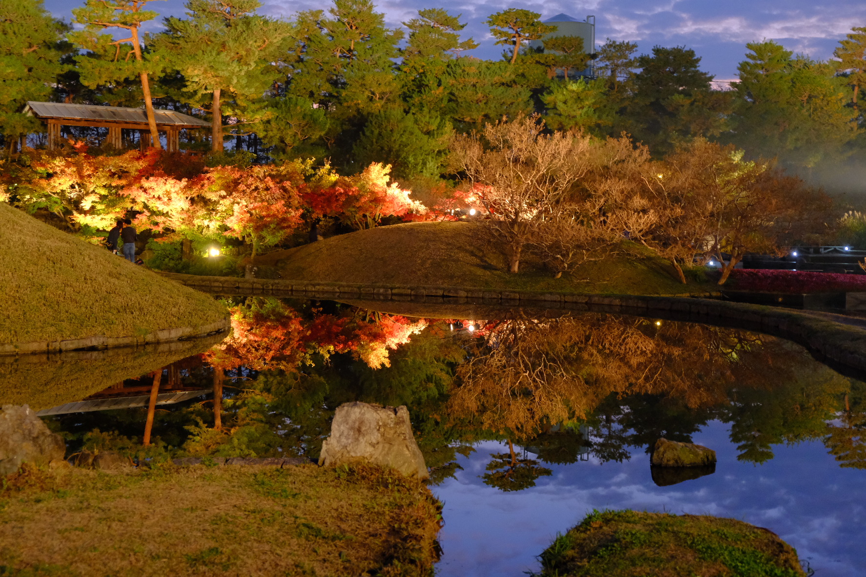 梅小路公園で紅葉もみじ狩り 見頃時期や紅葉まつりなど紹介 情報発信ブログサイト Blue Rose