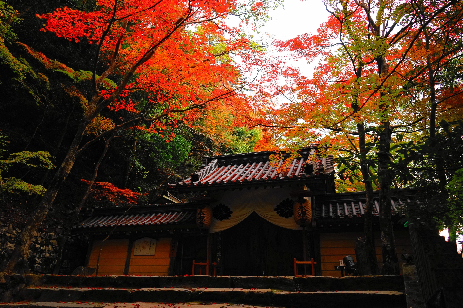 永源寺で紅葉もみじ狩り 見頃時期やライトアップなど紹介 情報発信ブログサイト Blue Rose