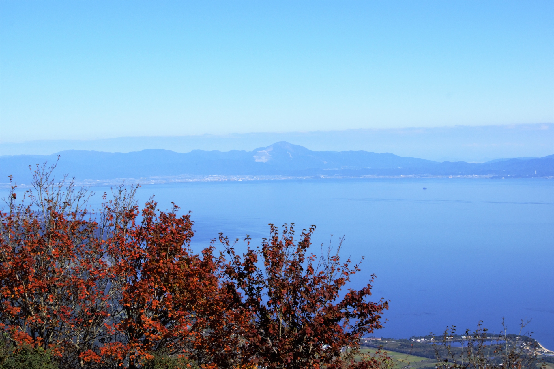 琵琶湖テラスで紅葉もみじ 見頃時期やロープウェイなど紹介 情報発信ブログサイト Blue Rose