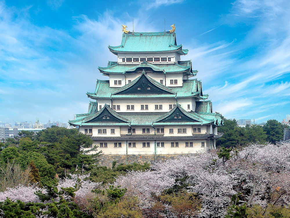名古屋城の桜21 春まつりや桜まつりライトアップなど紹介 情報発信ブログサイト Blue Rose