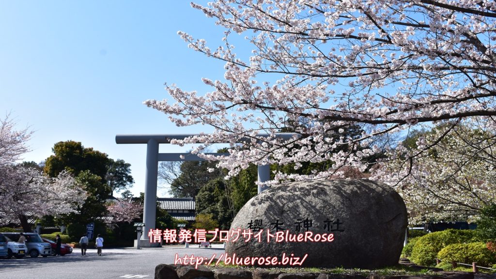 櫻木神社 野田市 の御朱印22年やご利益 アクセスなど紹介 情報発信ブログサイト Blue Rose